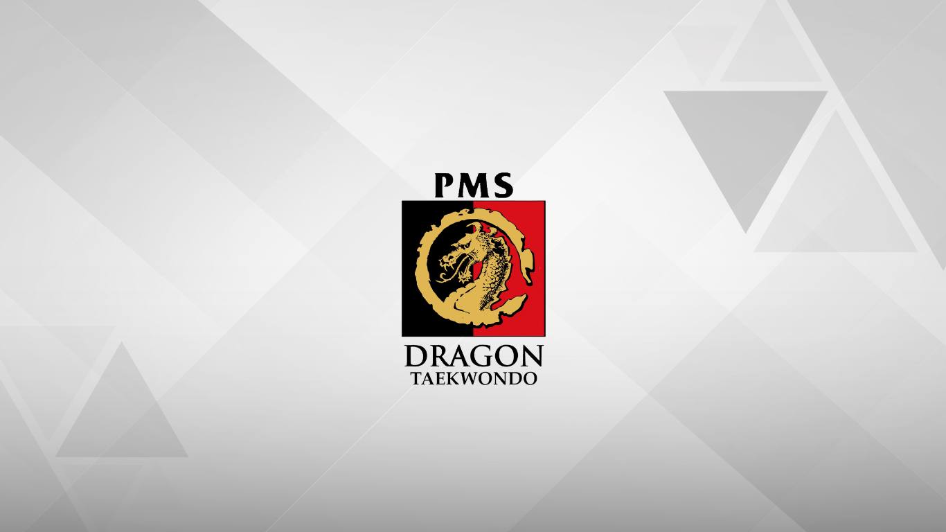 Taekwondo Indonesia Dojang PMS Dragon Solo ti-pmsdragonsolo.com